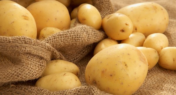 Варёный картофель в мундирах