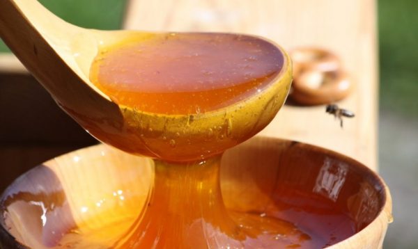 Жидкий мёд в деревянной ложке