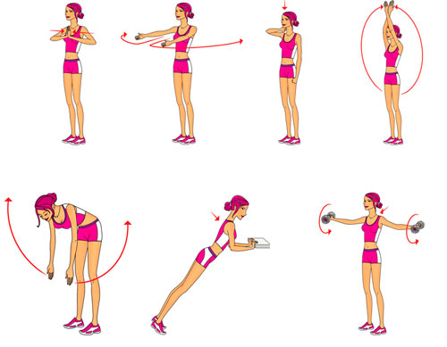Упражнения для тренировки грудных и спинных мышц