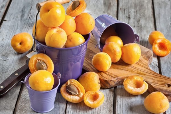Плоды и косточки абрикоса
