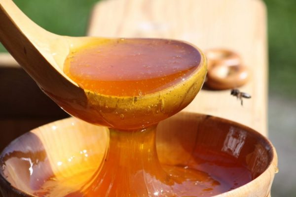 Натуральный мёд на деревянной ложке