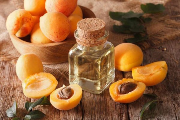 Абрикосы и абрикосовое масло на столе