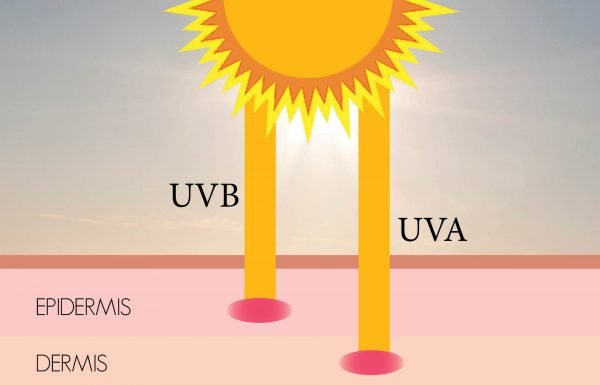 Воздействие UVB и UVA излучения на кожу человека